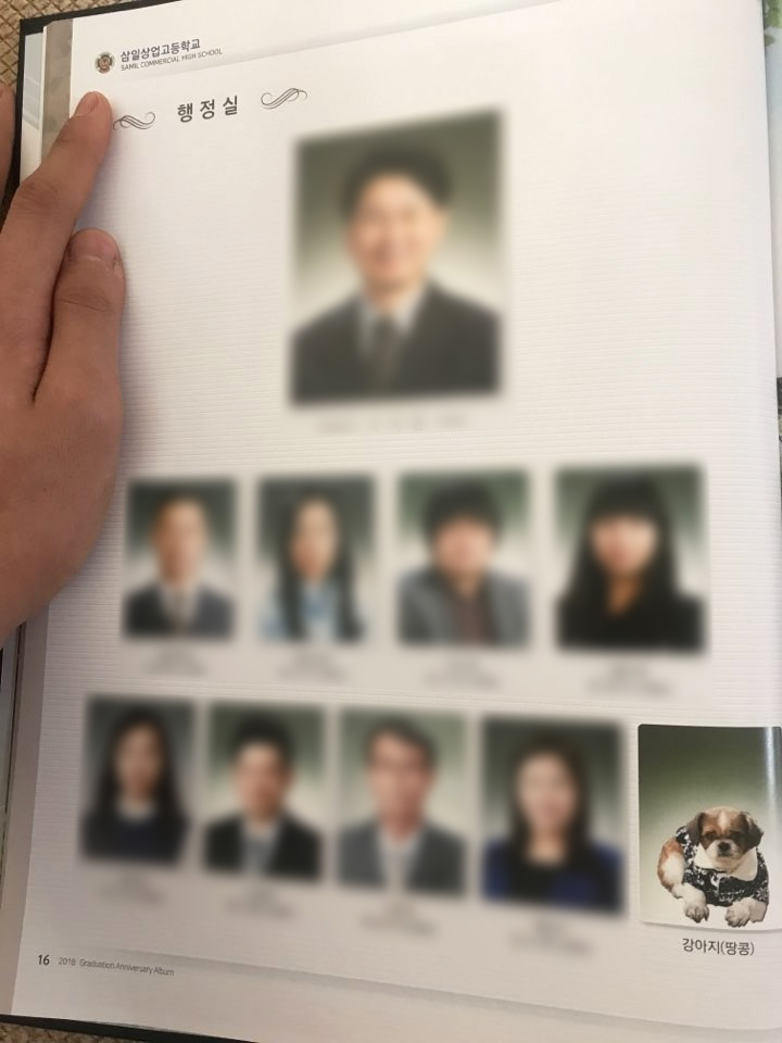 노트펫