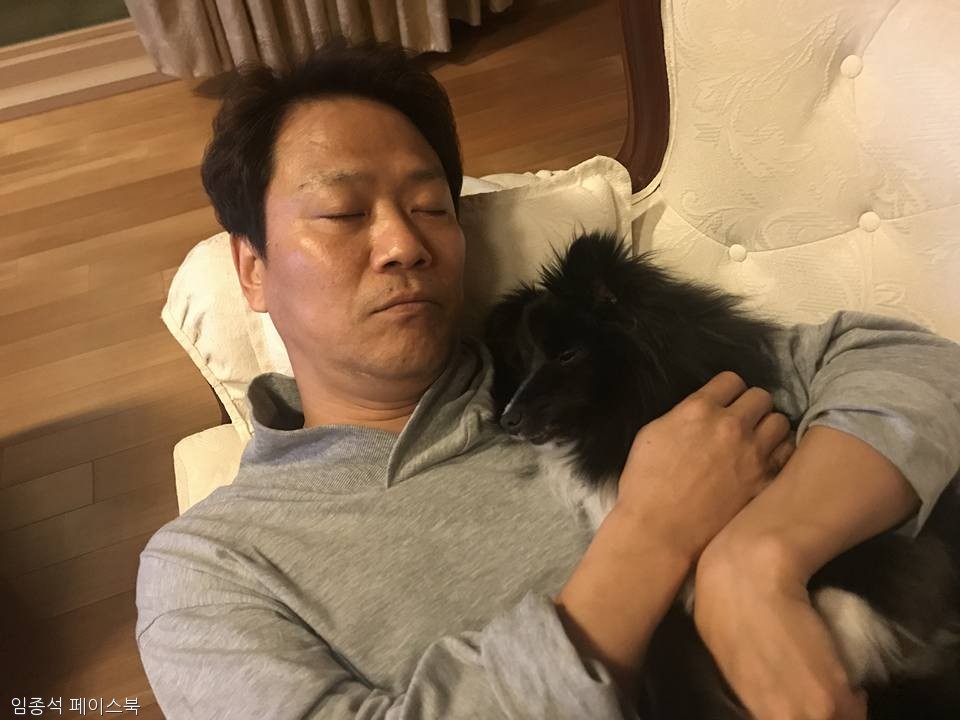 노트펫