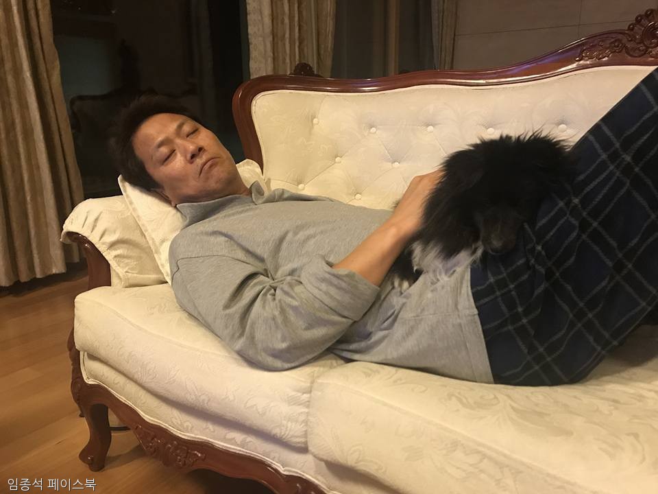 노트펫