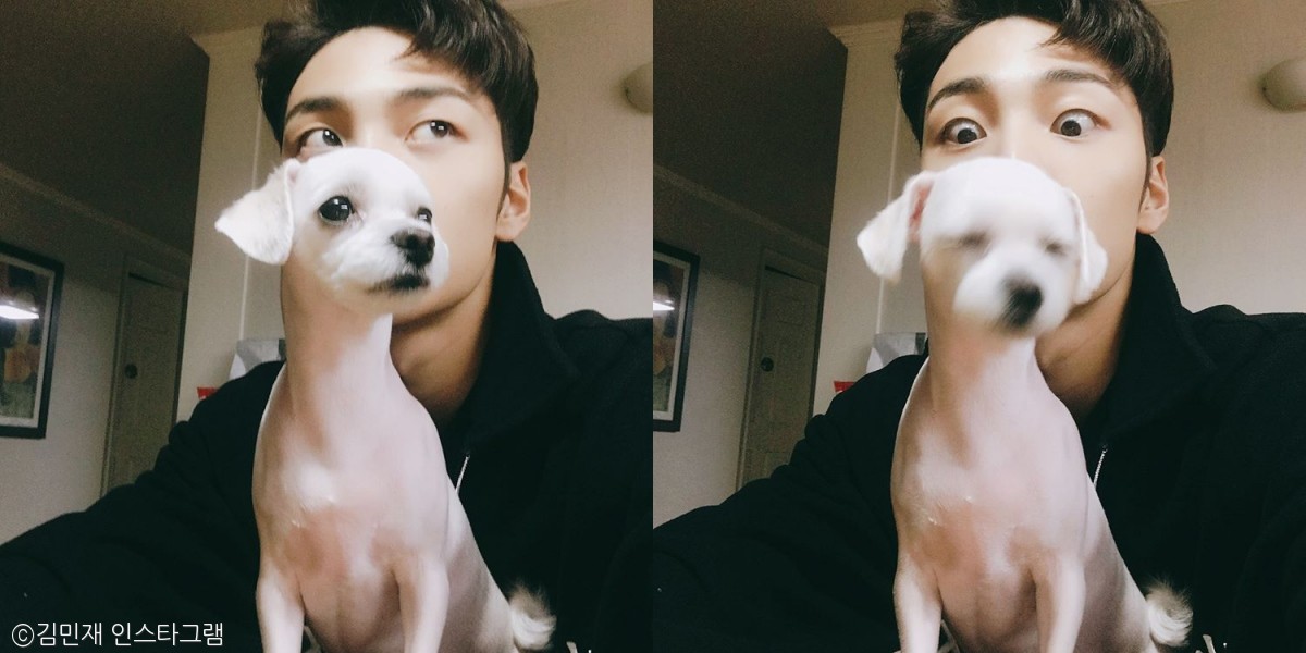 노트펫