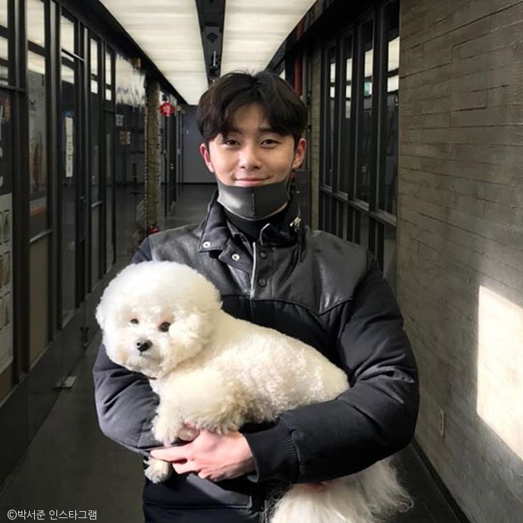 노트펫