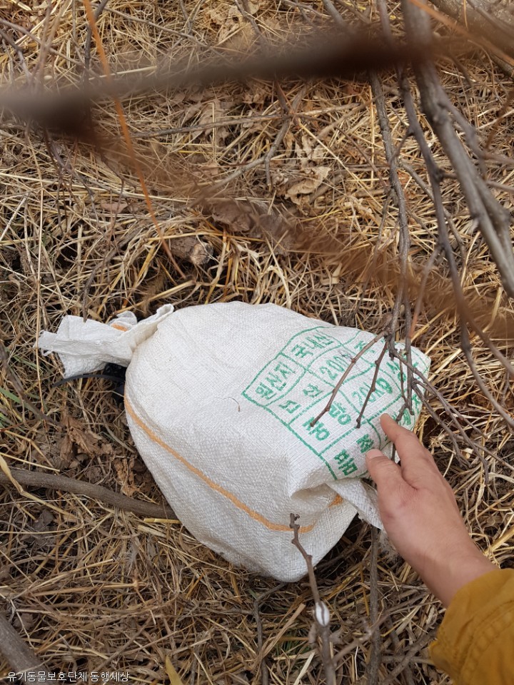 노트펫