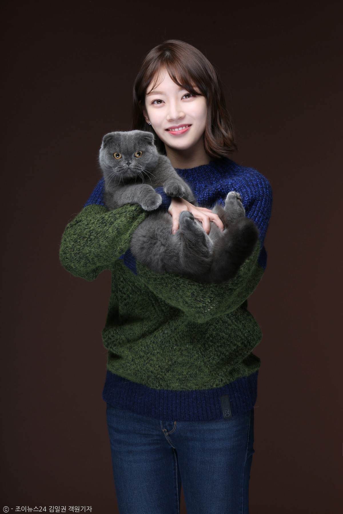 노트펫