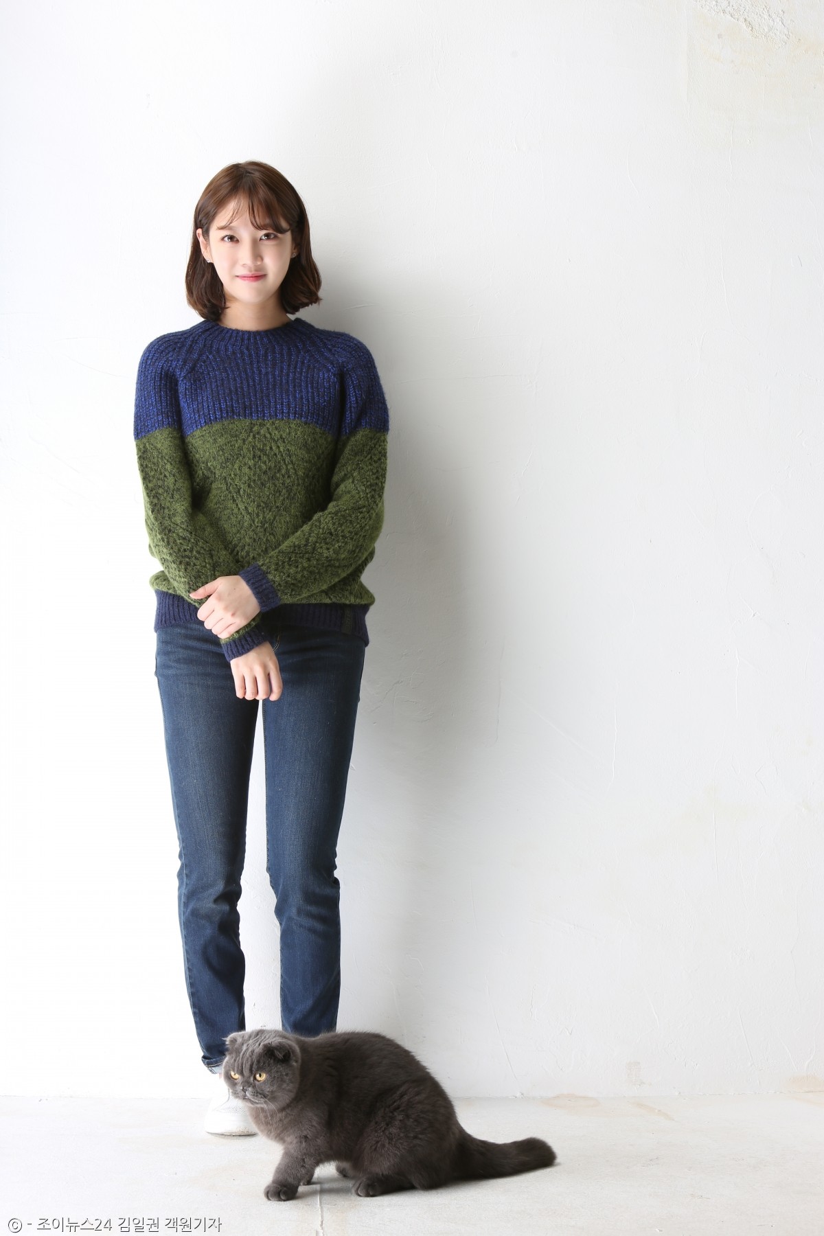 노트펫