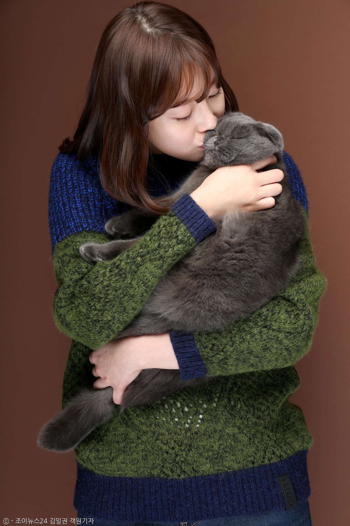 노트펫