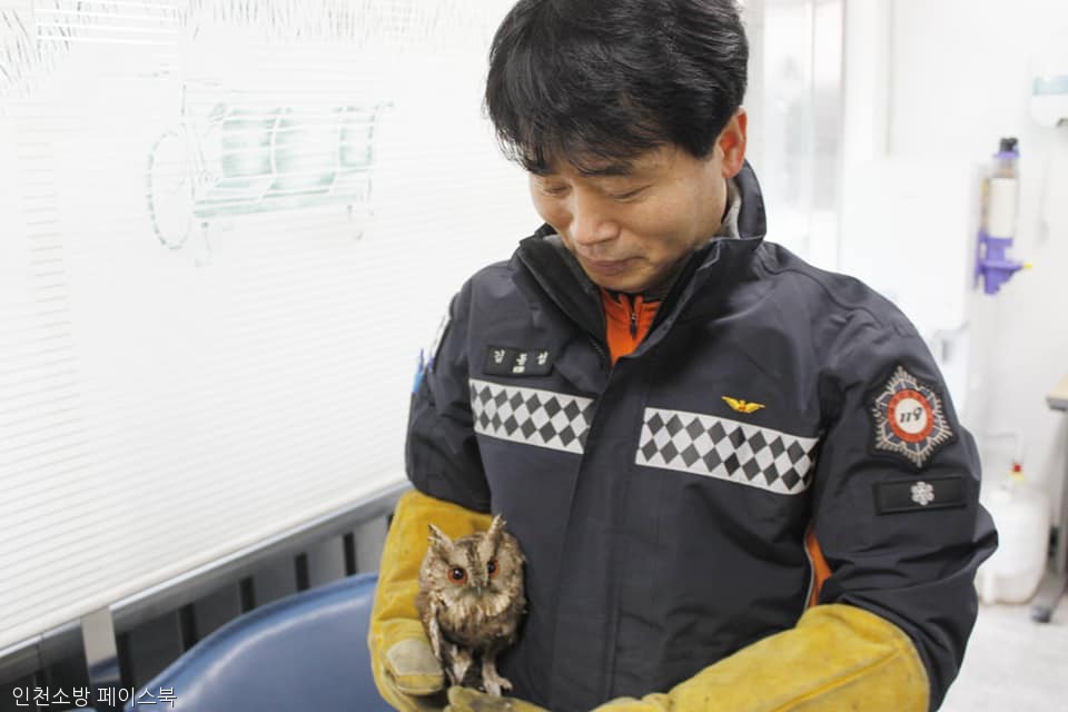 노트펫