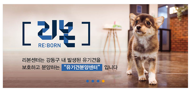 노트펫