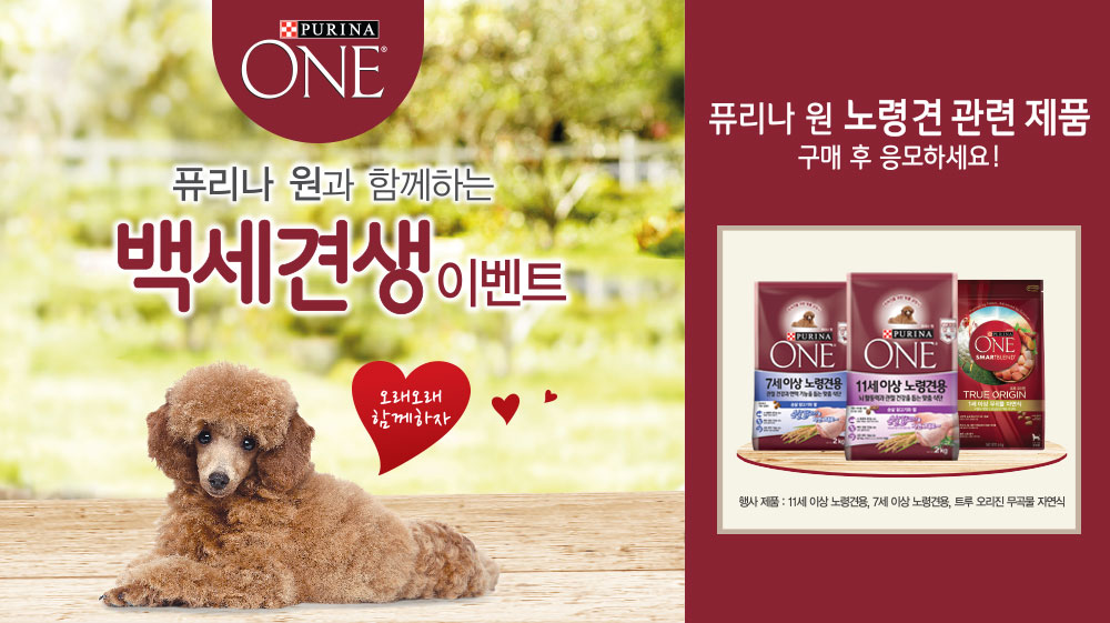 노트펫