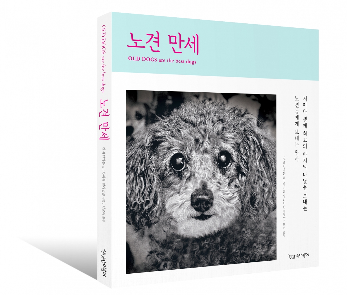 노트펫