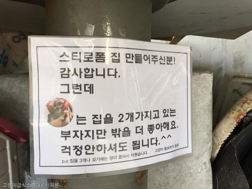 노트펫
