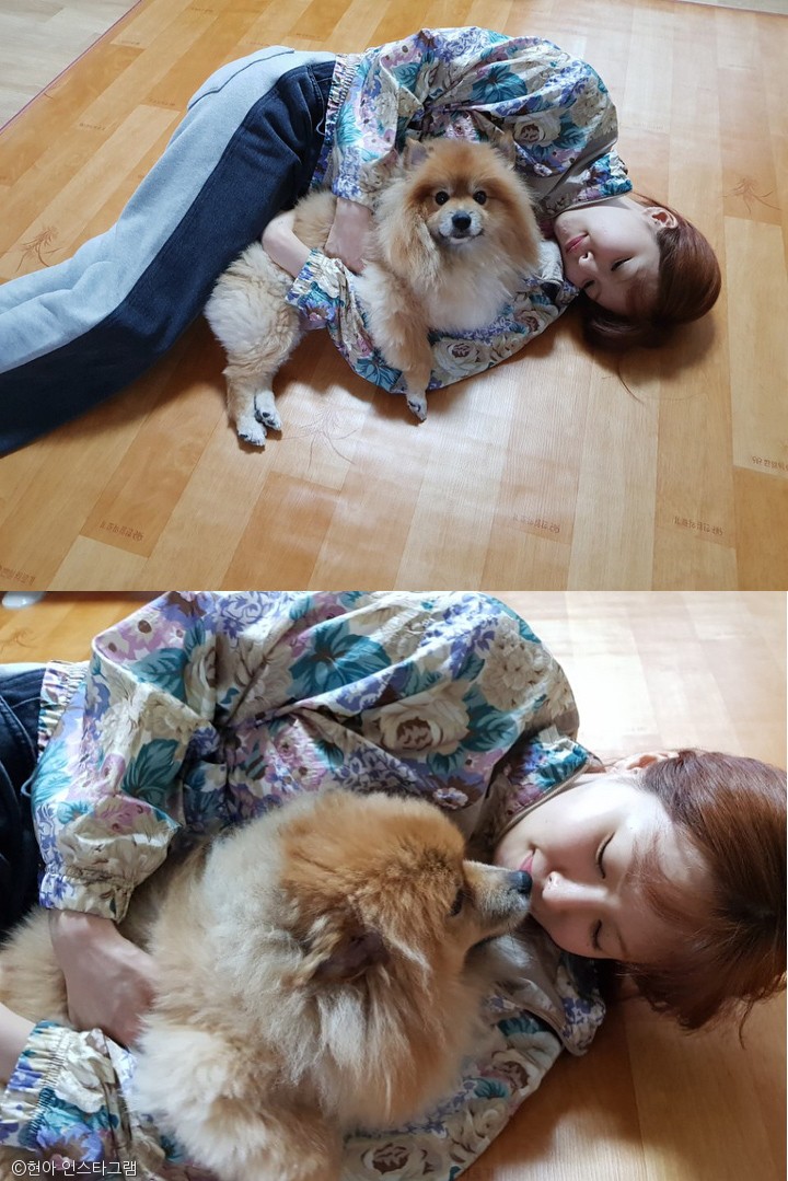 노트펫