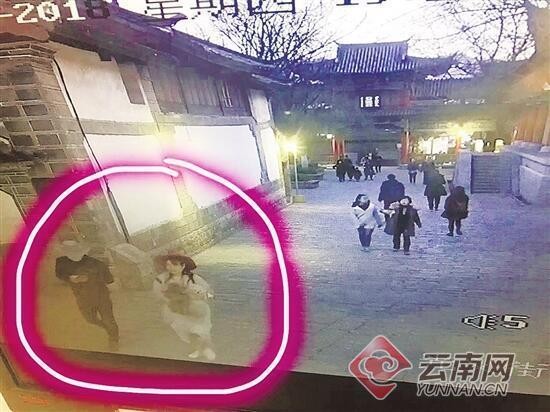 노트펫