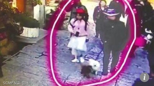 노트펫