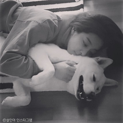 노트펫