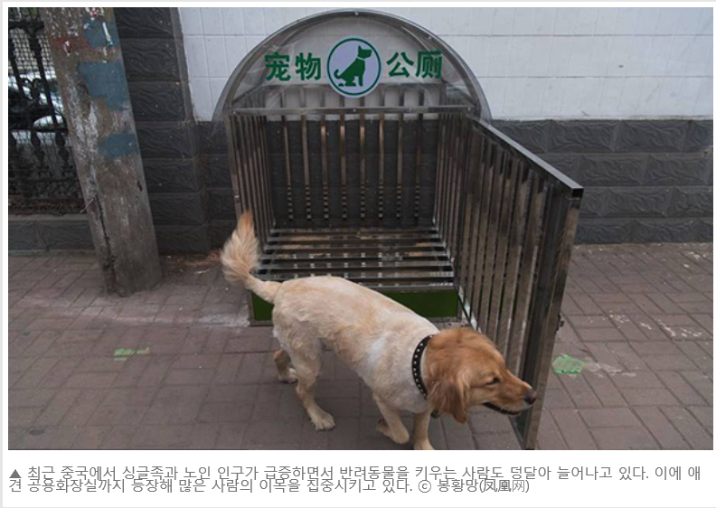 노트펫