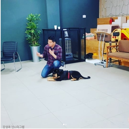노트펫