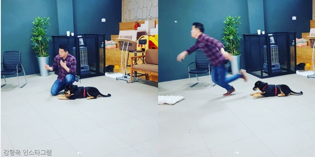 노트펫