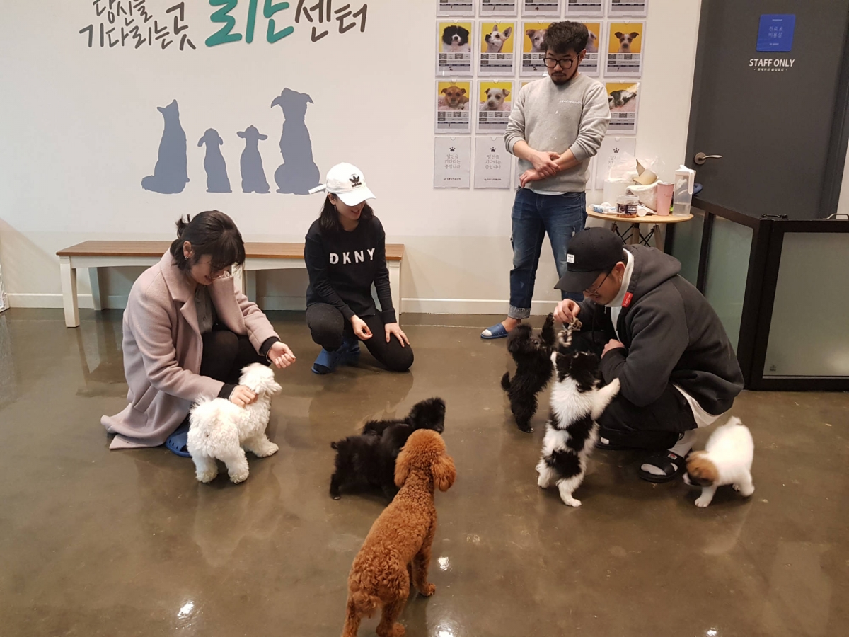 노트펫