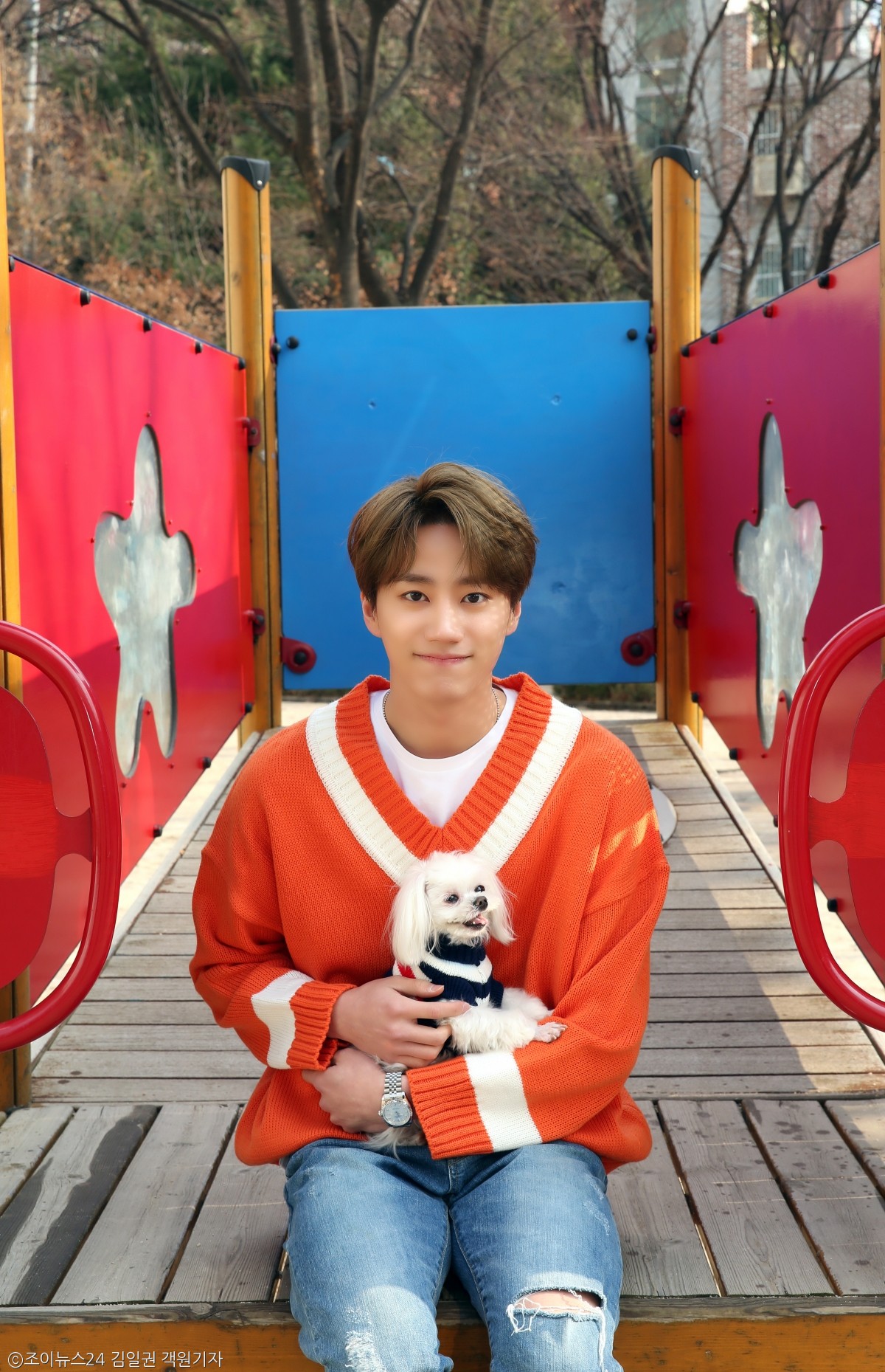 노트펫