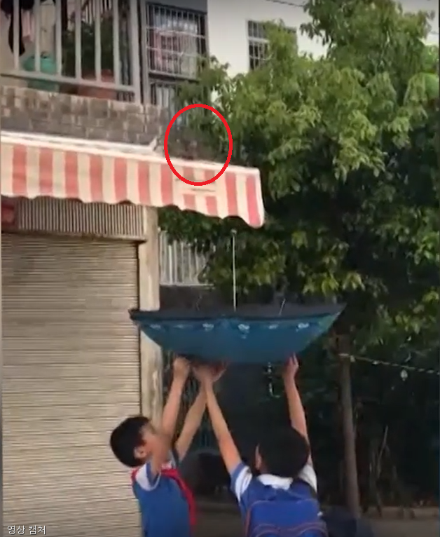 노트펫