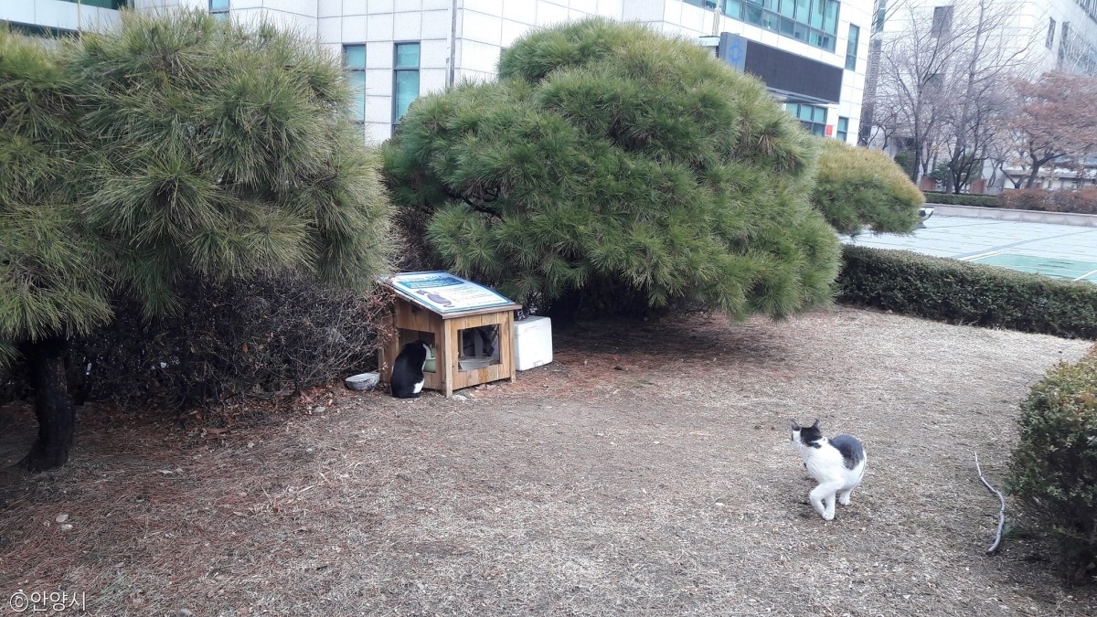 노트펫