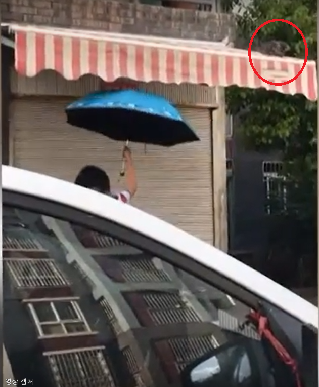 노트펫