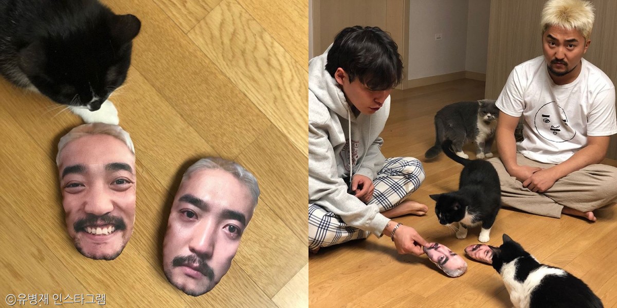 노트펫