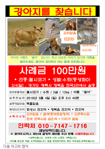 노트펫