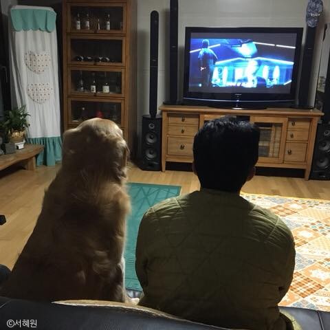 노트펫