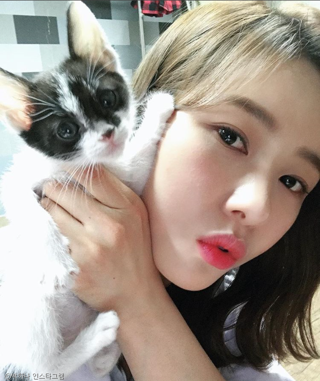 노트펫