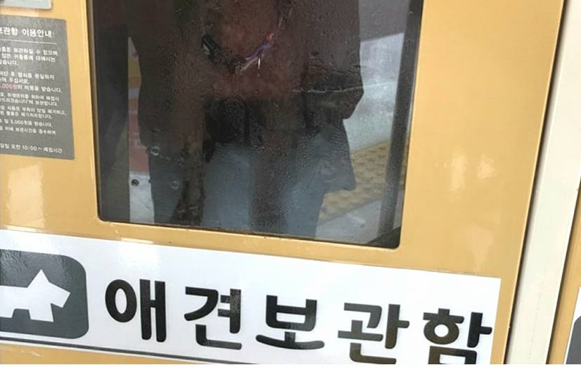 노트펫