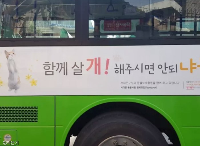 노트펫