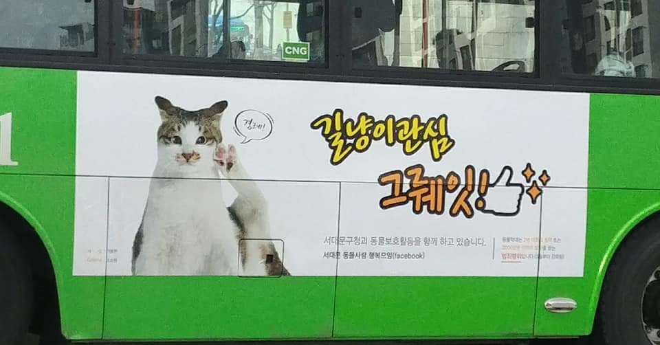 노트펫