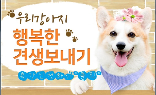 노트펫