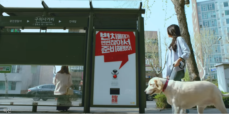 노트펫