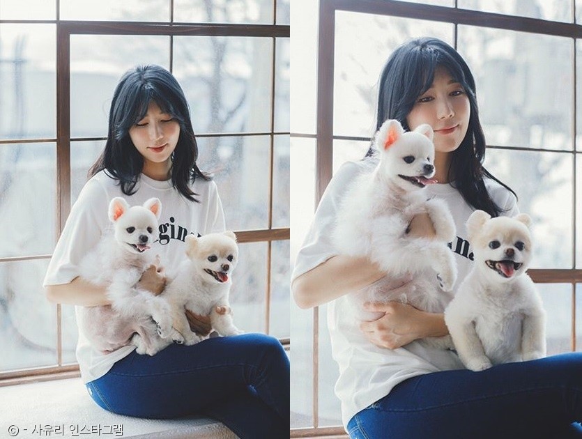 노트펫
