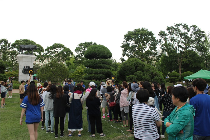 노트펫