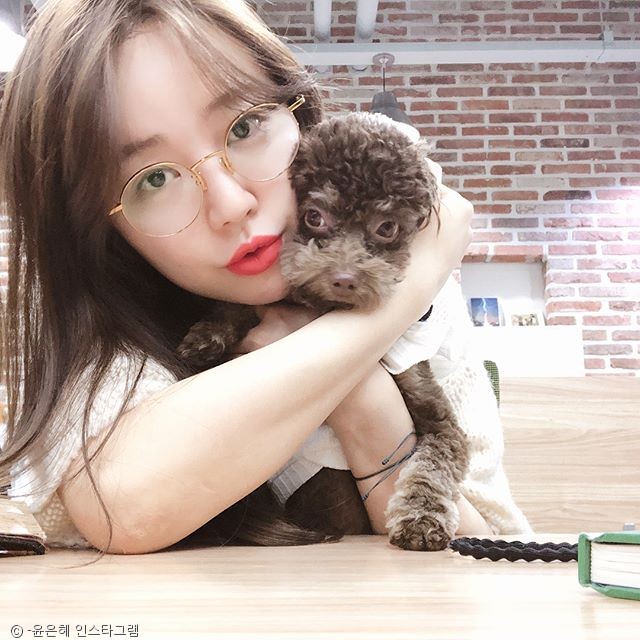 노트펫