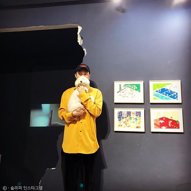 노트펫