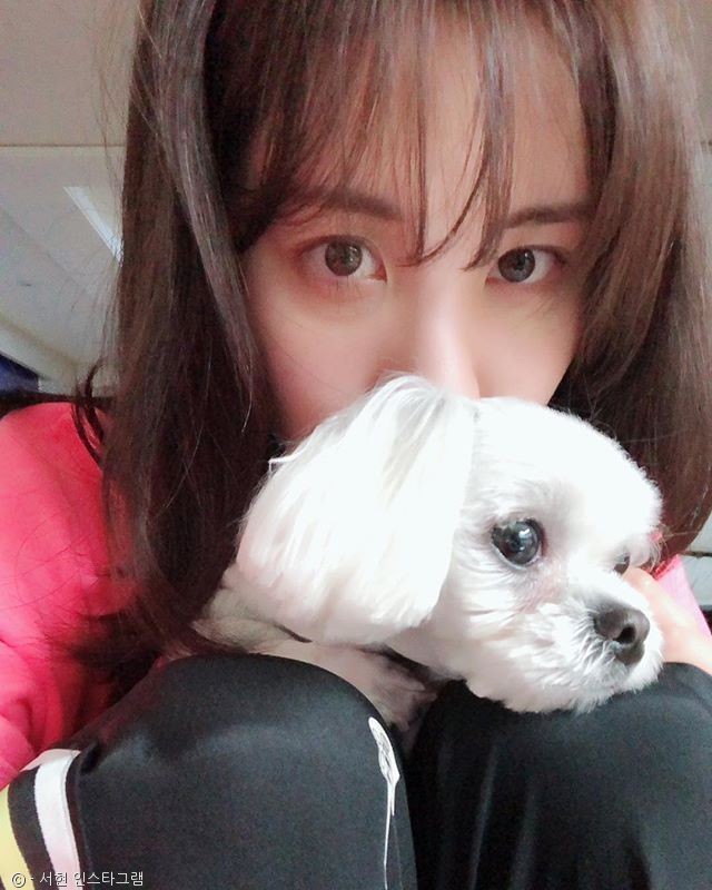 노트펫