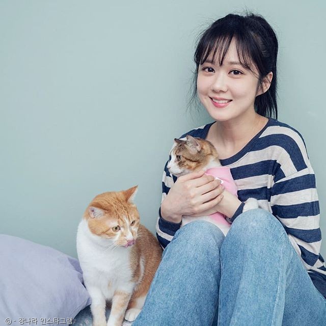 노트펫