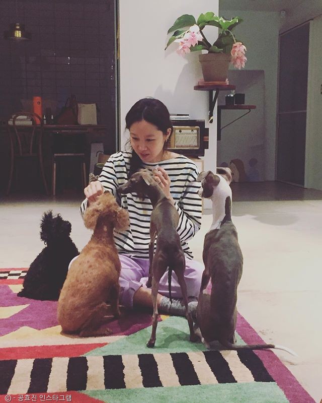 노트펫