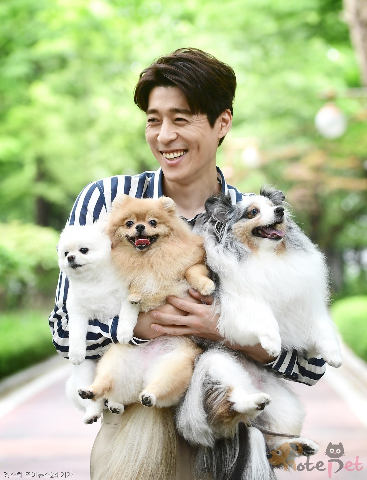 노트펫