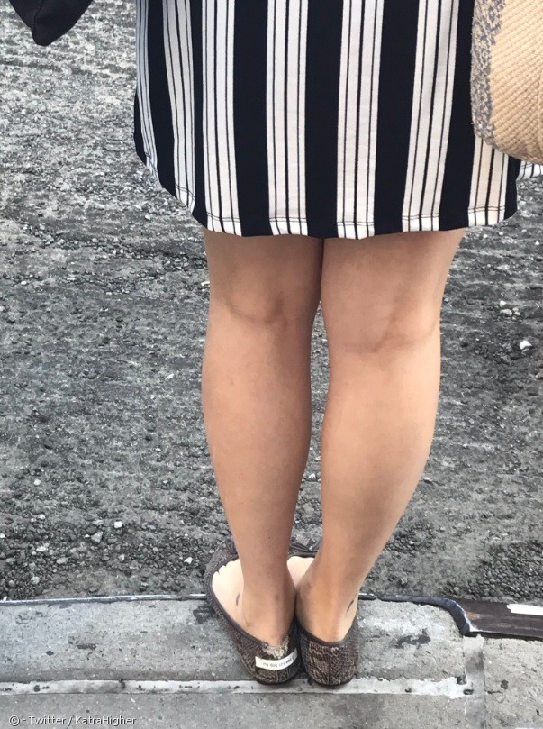 노트펫