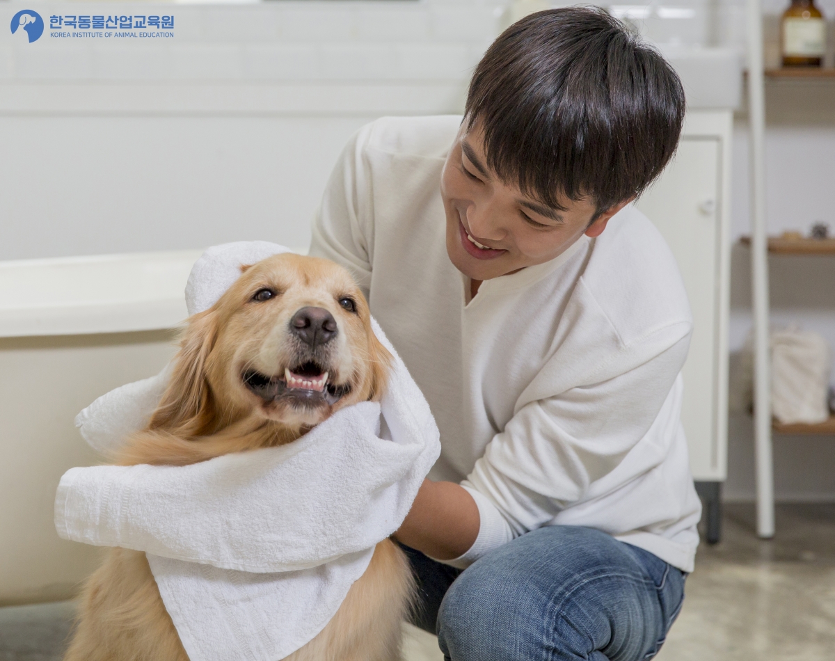 노트펫