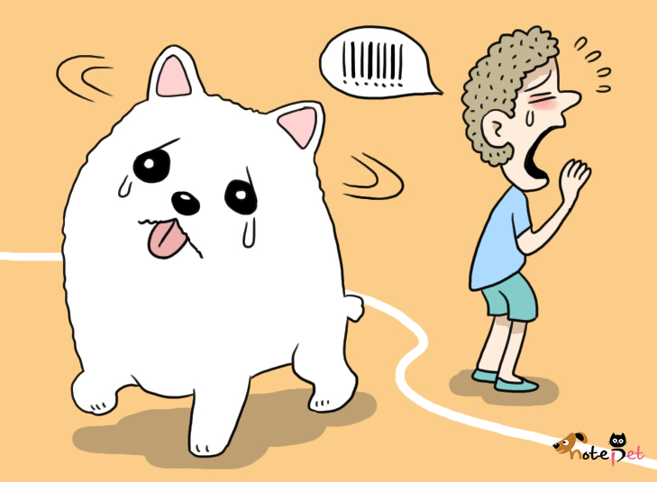 노트펫