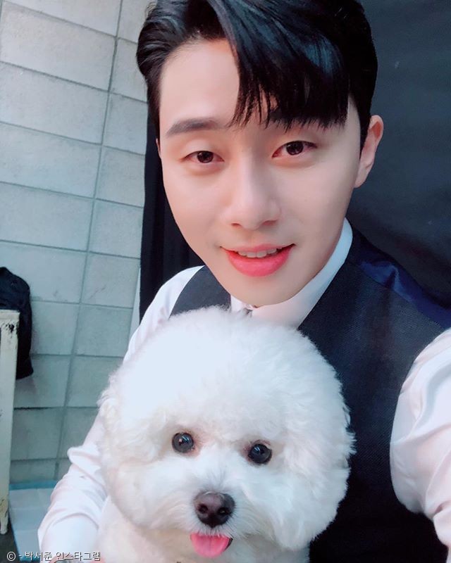 노트펫