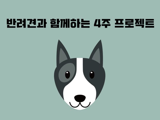 노트펫