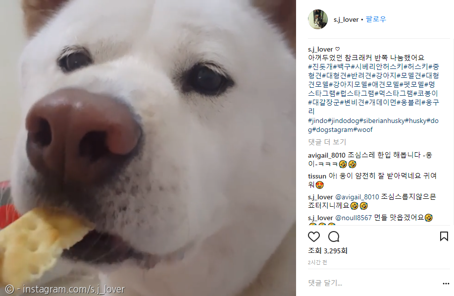 노트펫
