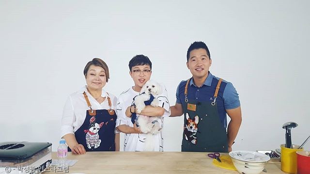 노트펫